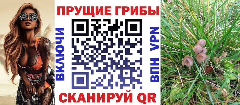 Галлюциногенные грибы MAGIC MUSHROOMS  ОМГ ОМГ tor  Прохладный 